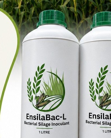 EnsilaBac-L product photo